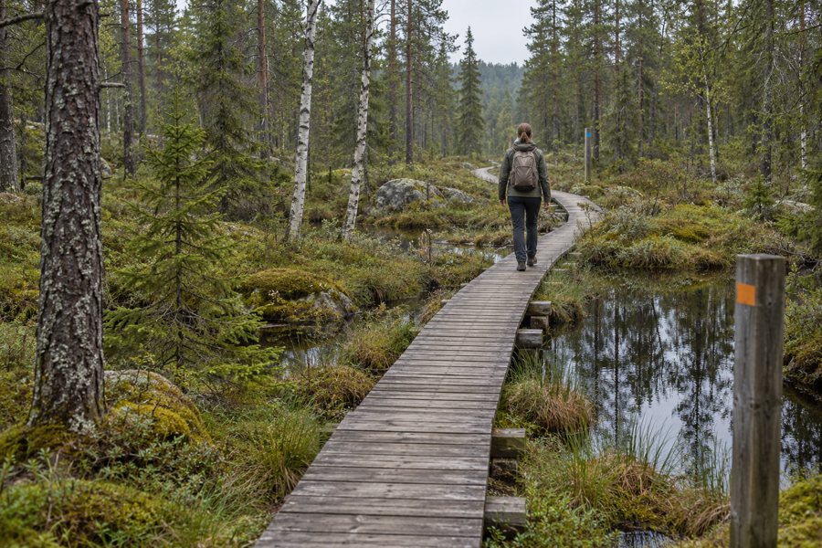 Wandern in Finnland